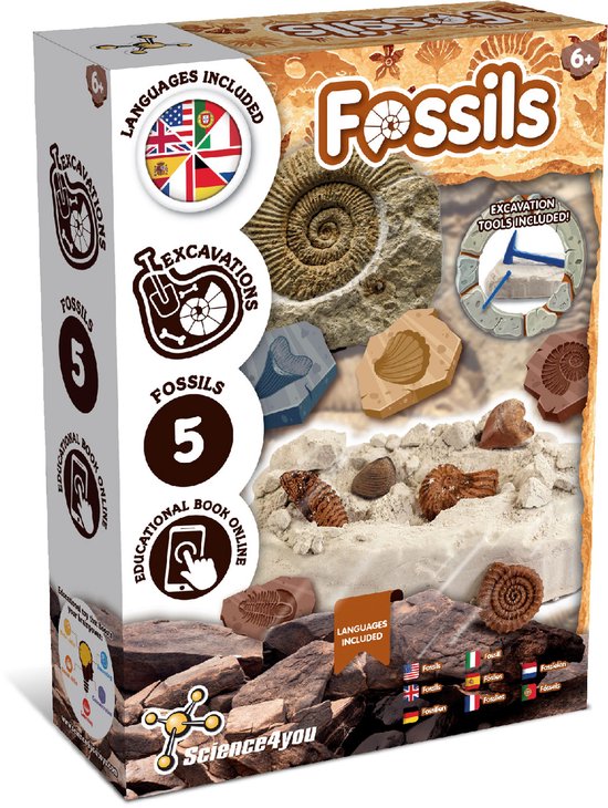 Science4You opgravingsset voor fossielen