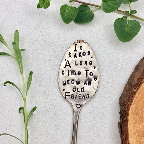 Plantenmarker Lepel - Tuinlabel Grappig - Planten Markeren - Gestempelde Tekst - 15 cm - Zilver — afbeelding 4