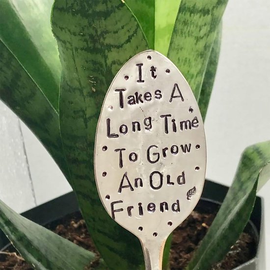 Plantenmarker Lepel - Tuinlabel Grappig - Planten Markeren - Gestempelde Tekst - 15 cm - Zilver — afbeelding 2