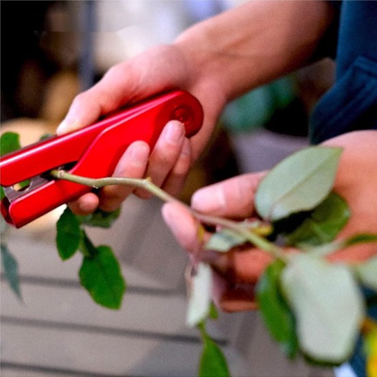 Rozen Doorn Stripper - Rozenprikker Verwijderaar - Bloemen Schikken - Dubbele Steel Ontwerp - 150 Gram - Rood — afbeelding 4