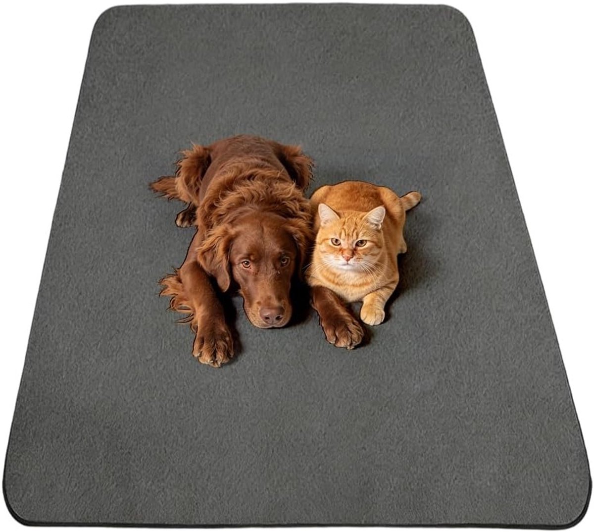 Honden Pinkelmat en Incontinentie Mat voor Puppy Training - Waterdicht, Sneldrogend en Wasbaar (100x70CM, Set van 2)