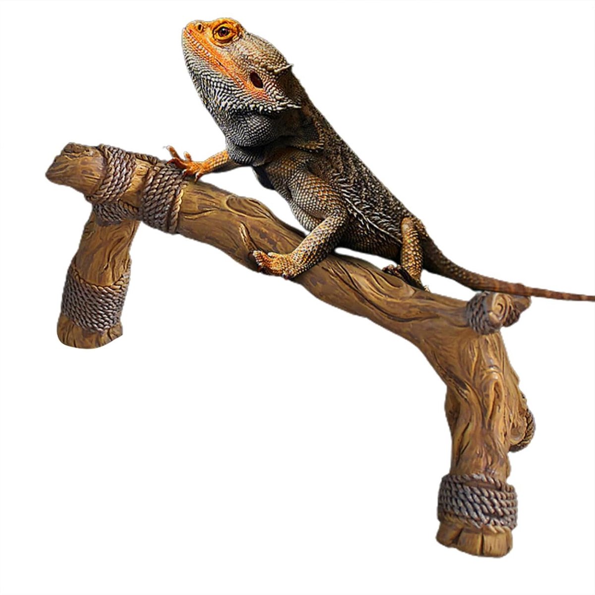Reptielen Klimtak - Terrarium Decoratie - Natuurlijke Habitat - Hars Constructie - 11.9x17.9x11.9 cm - Bruin