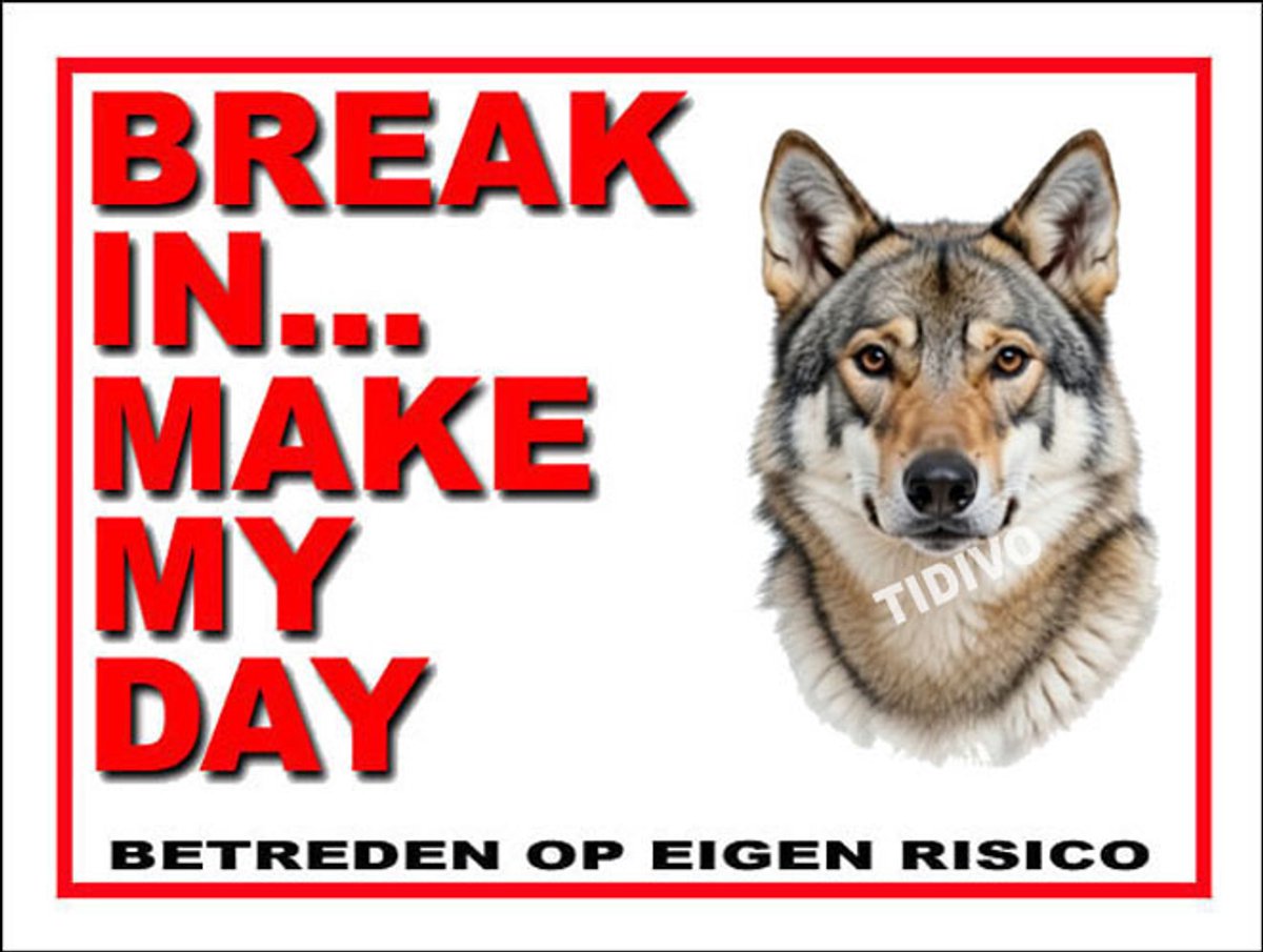Saarlooswolfhond 1