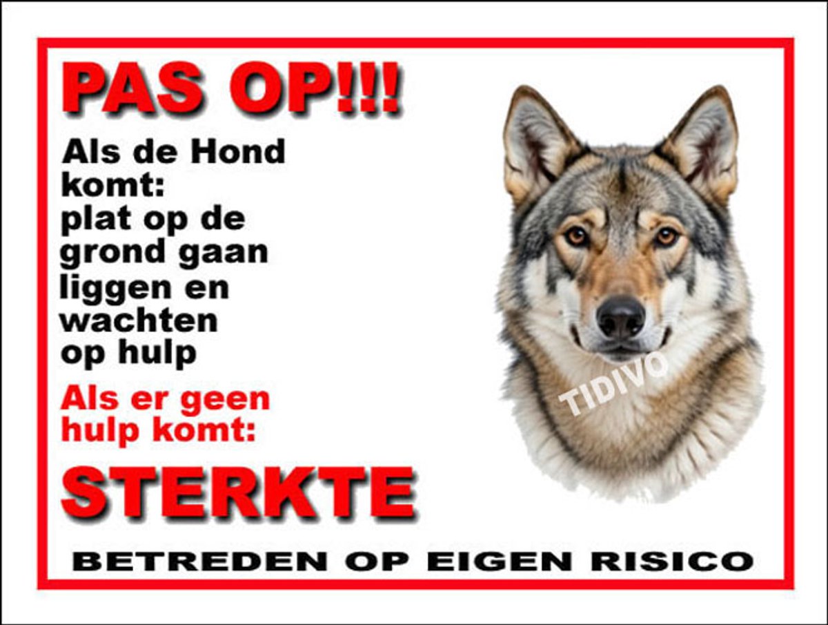 Saarlooswolfhond 12