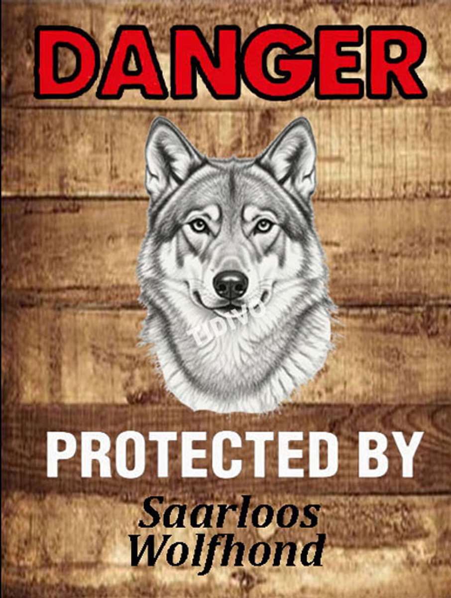Saarlooswolfhond 19