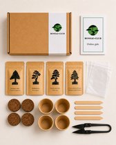 Bonsai Club Starter Kit - Bonsai Boom Kweken - Complete Bonsai Kweekset voor Beginners - Inclusief Zaden, Potjes & Tools