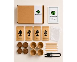 Bonsai Club Starter Kit - Bonsai Boom Kweken - Complete Bonsai Kweekset voor Beginners - Inclusief Zaden, Potjes & Tools