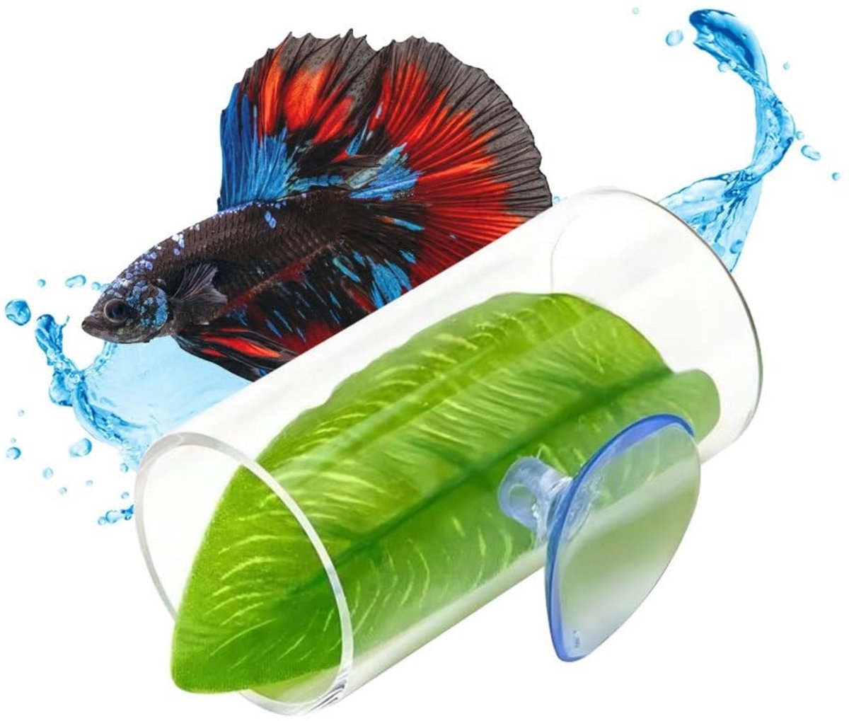 aladdien - Acryl holle betta visschuilbuis - Speelgoed voor kleine vissen - Natuurlijke omgeving - Transparant - Geschikt voor garnalen en guppy's -..