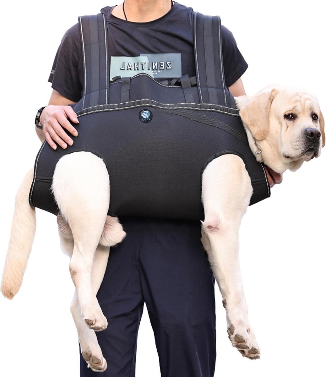 Honden Rugzak - Hondentuig - Hulp bij lopen - Full body steun - Maat L - Zwart