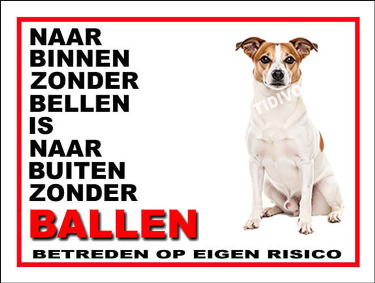 Norrbottenspets 11