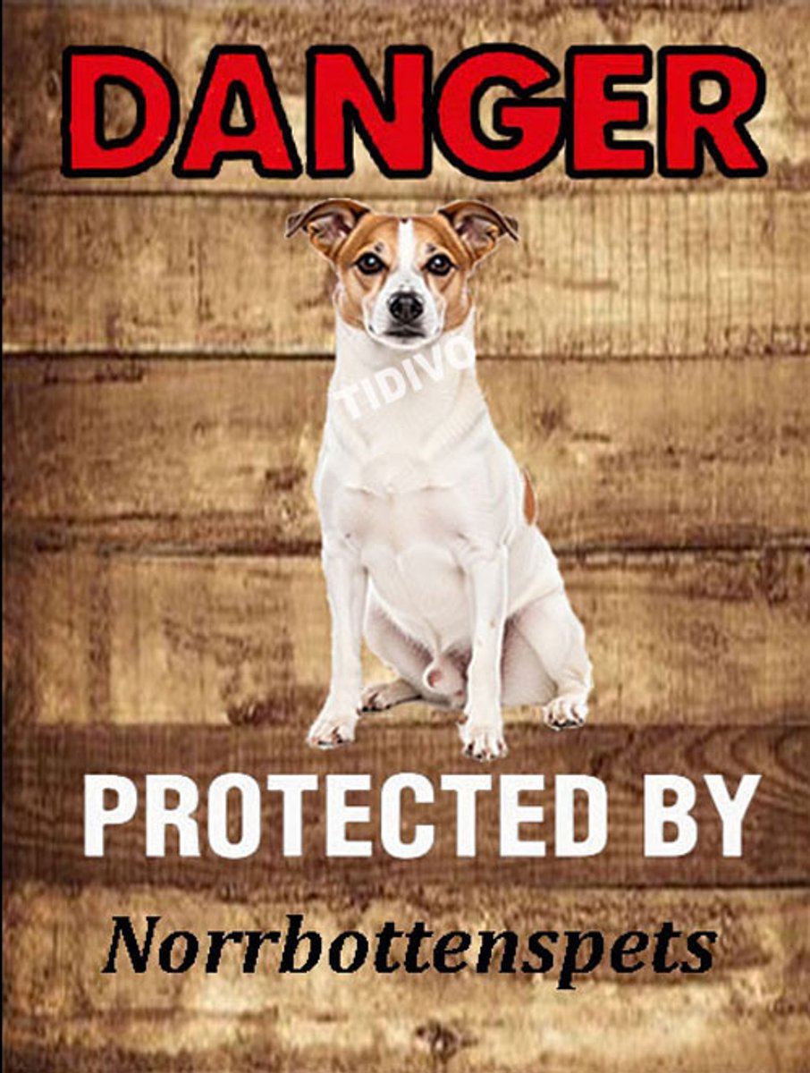 Norrbottenspets 19
