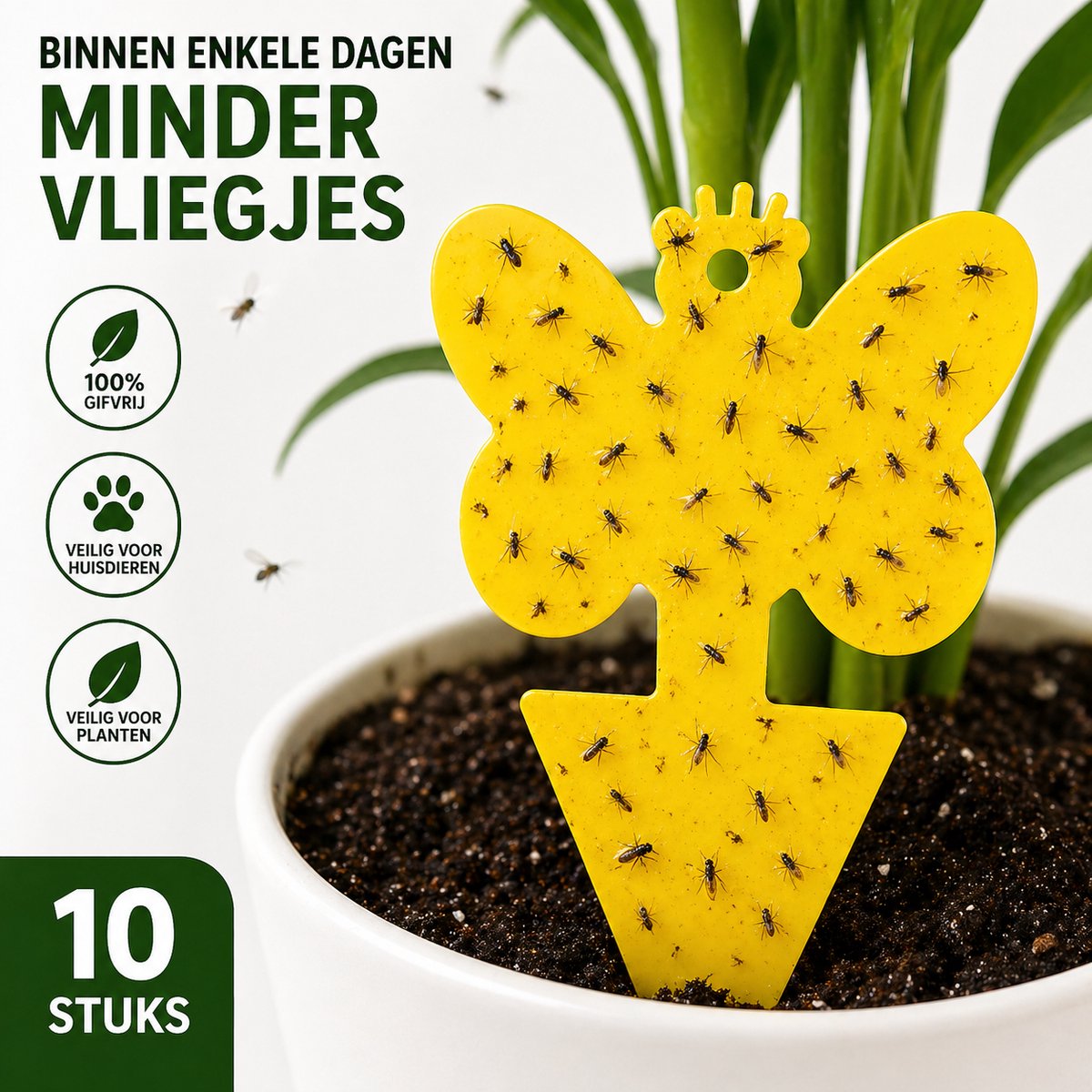 Rouwvliegjes Bestrijden in Planten – 10 Gele Vangplaten – Tegen Varenrouwmug & Fruitvliegjes – Gifvrije Insectenvanger voor Kamerplanten – Professor Q