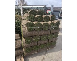 1m²  A1 Kwaliteit Graszoden 100% Onkruidvrij ( ook te gebruiken om uw gazon te herstellen! )
