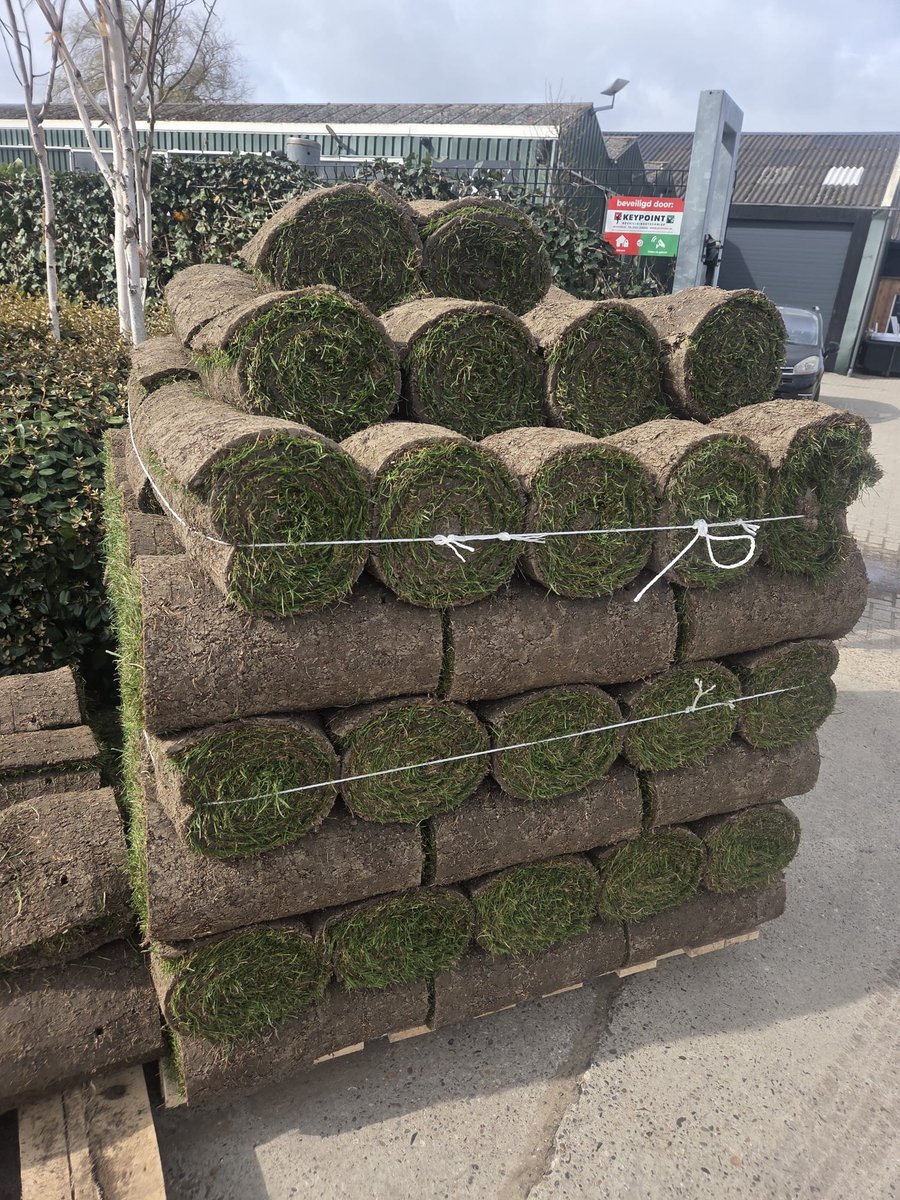1m²  A1 Kwaliteit Graszoden 100% Onkruidvrij ( ook te gebruiken om uw gazon te herstellen! )