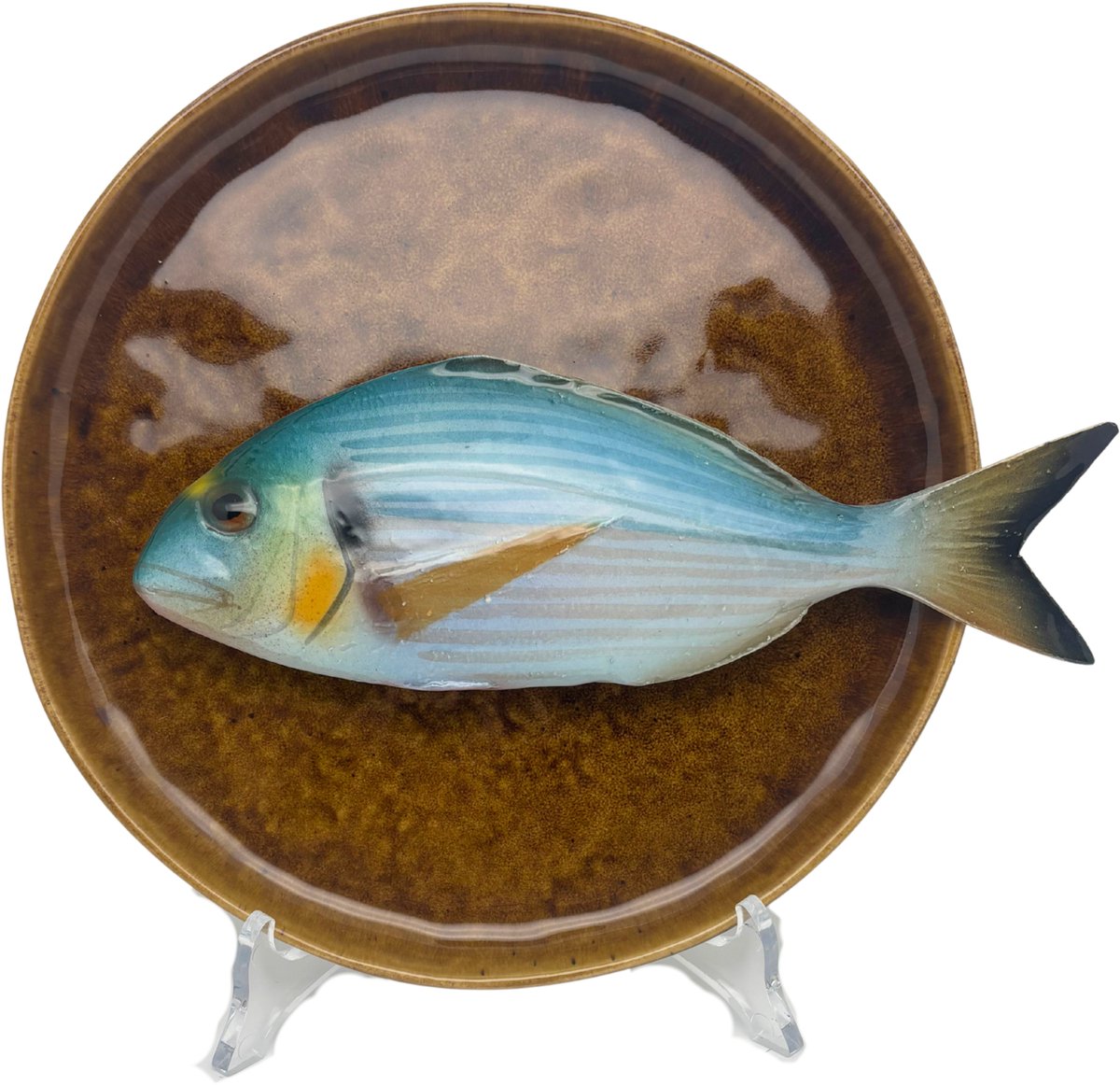 Orata medio op een bruin/goud bord, 21cm
