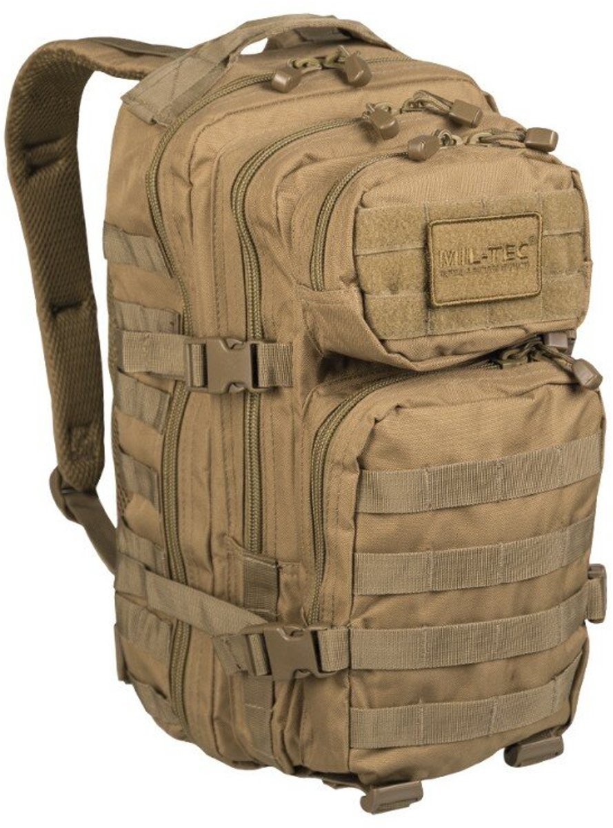 US Assault Pack Small 20 Liter Coyote