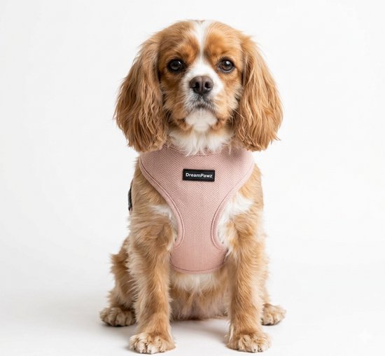 Snuggle Paws Hondenriem, oprolbaar en intrekbaar, 5 m, alles-in-één, led, oplaadbaar, zakdispenser, stalen kabel, tegen bijten, reflecterende band, robuust voor grote honden tot 50 kg