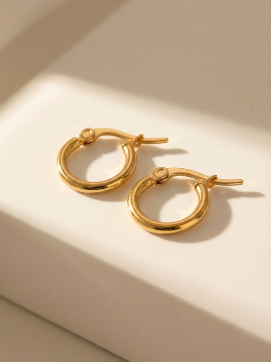 Lundholm 1 cm Oorbellen Dames Gold Plated Hoops - Creole Dames Oorringen Klein Goud kleurig PVD Verguld - Premium Stainless Steel Jewellery - my Eefje serie - Minimalistische kleine oorringen - Vrouwen cadeautjes verjaardag Cadeau voor Haar