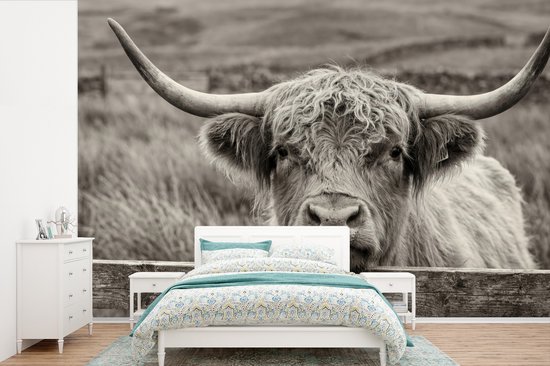 Behang - Fotobehang Schotse hooglander - Zwart - Wit - Hout - Breedte 525 cm x hoogte 350 cm