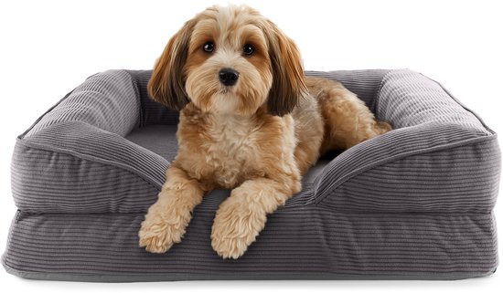Chien brun clair aux oreilles brunes repose sur un lit pour chien gris en velours côtelé avec des bords surélevés.