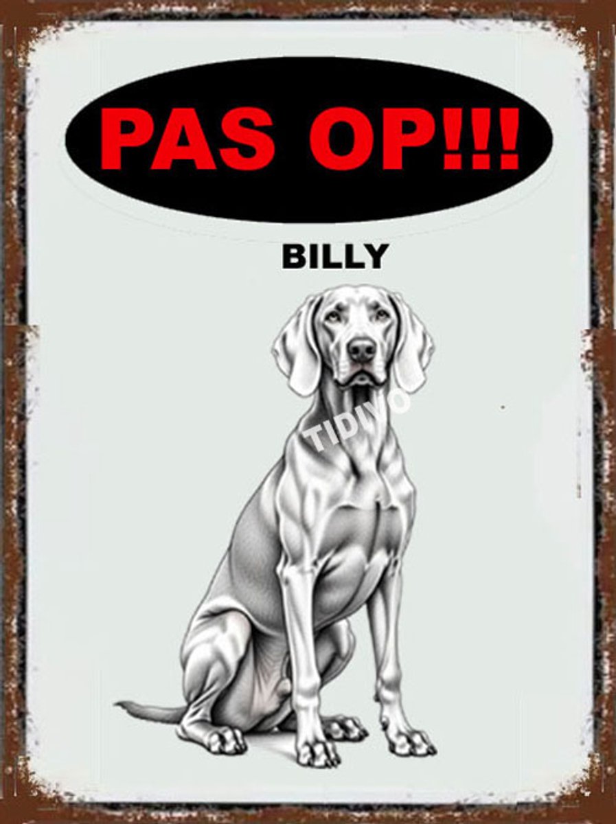 Billy 17