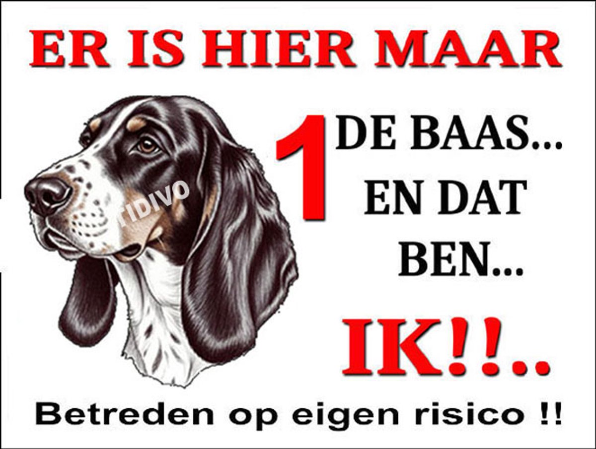 Berner Laufhund 26