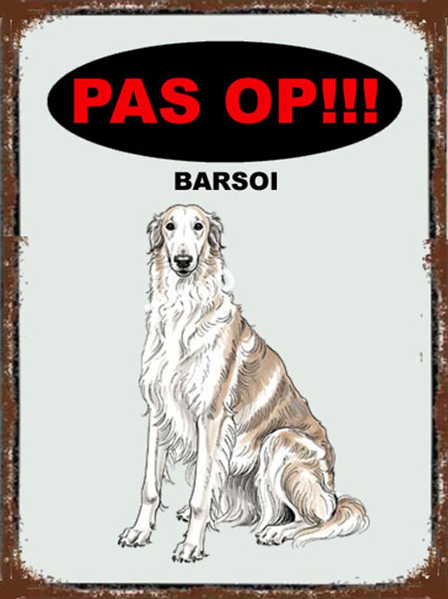 Barsoi 17