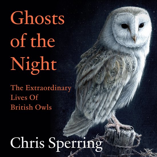 Ghosts of the Night - cover