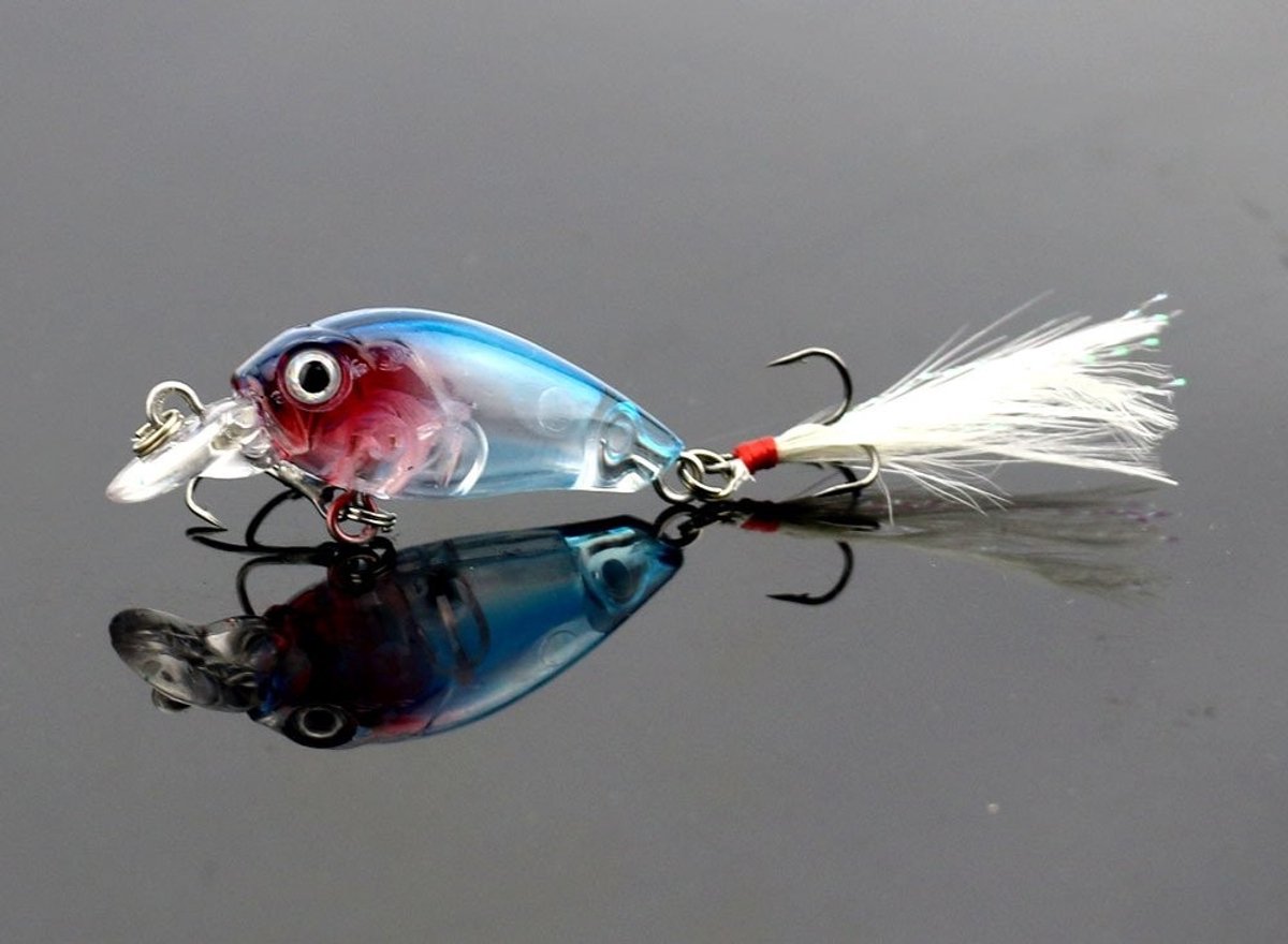 Allecto - Kunstmatige Bait - 5pcs Luya Bait voor Zoet- en Zoutwater - Effectieve Vissen - 4.5cm Micro Submersible Hard Bait - Vissport Benodigdhede...