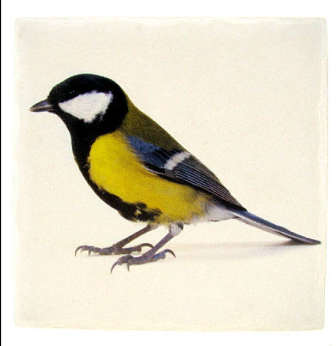 Tafelonderzetter Koolmees – Vierkant 15 x 15 cm – Steen – Onderzetter Vogel
