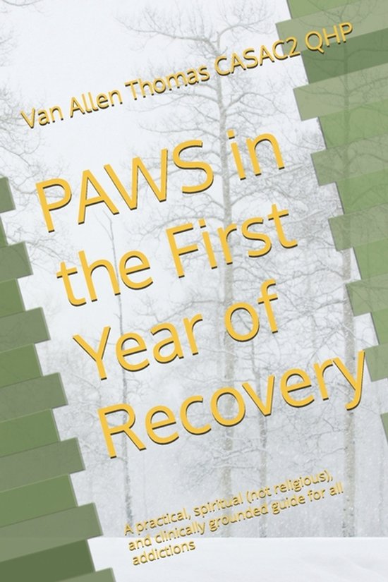 PAWS in the First Year of Recovery - cover