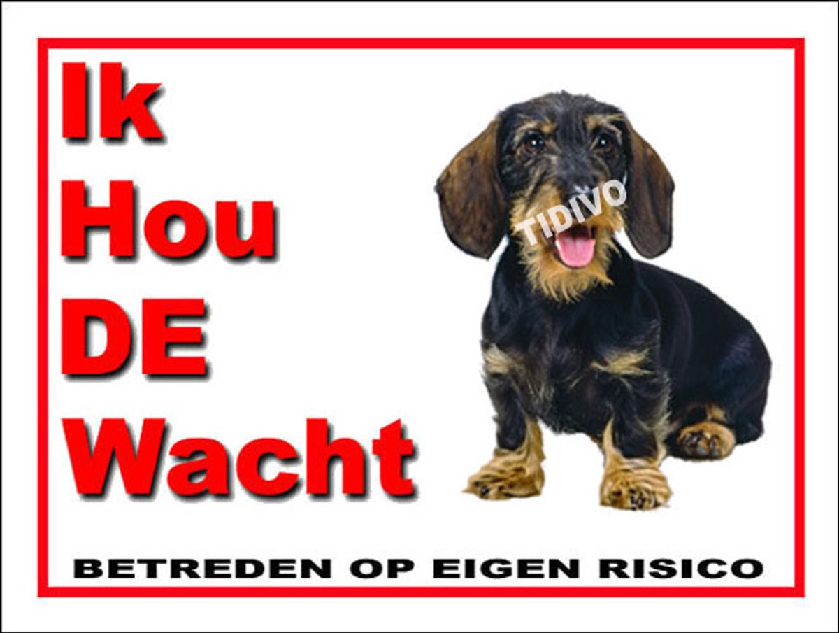 Dashond Dwerg, Ruwhaar 7