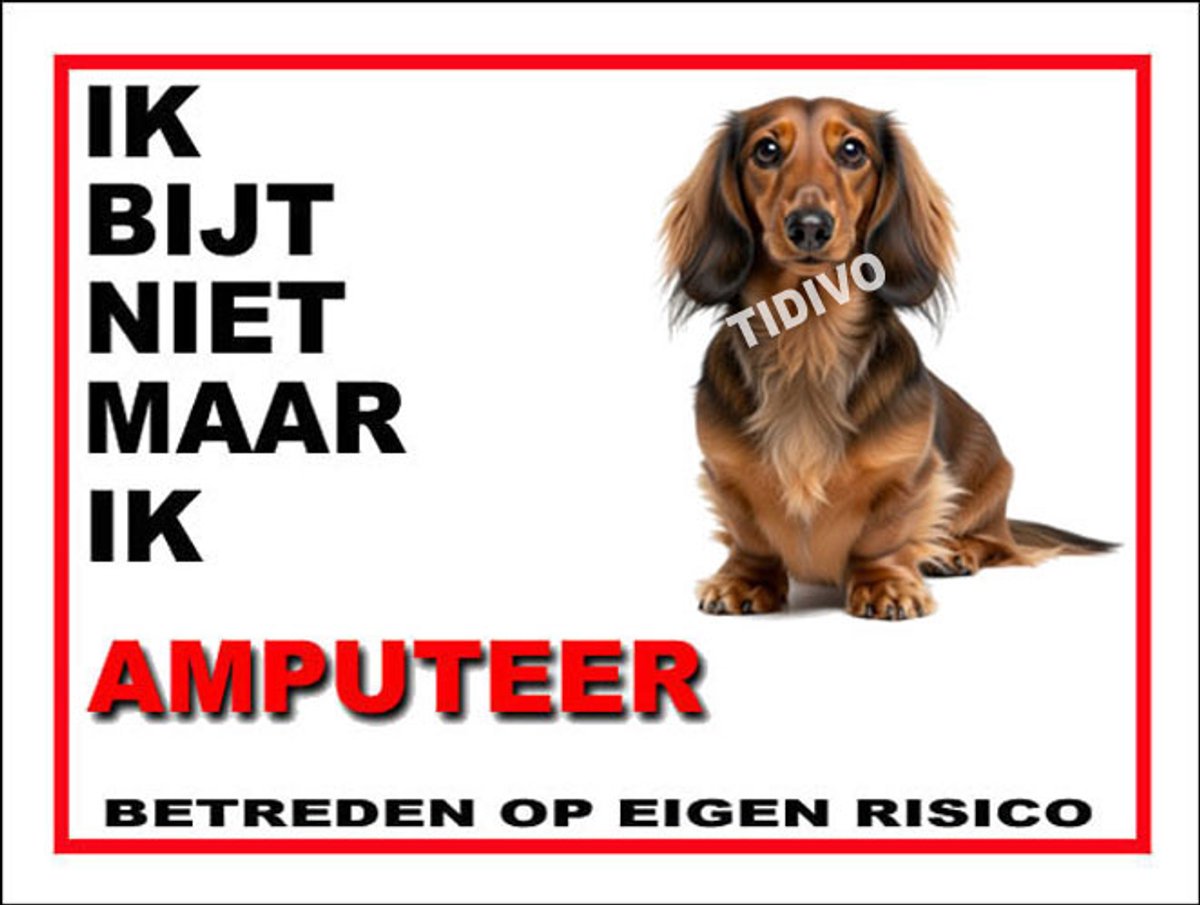 Dashond Dwerg, Langhaar 5