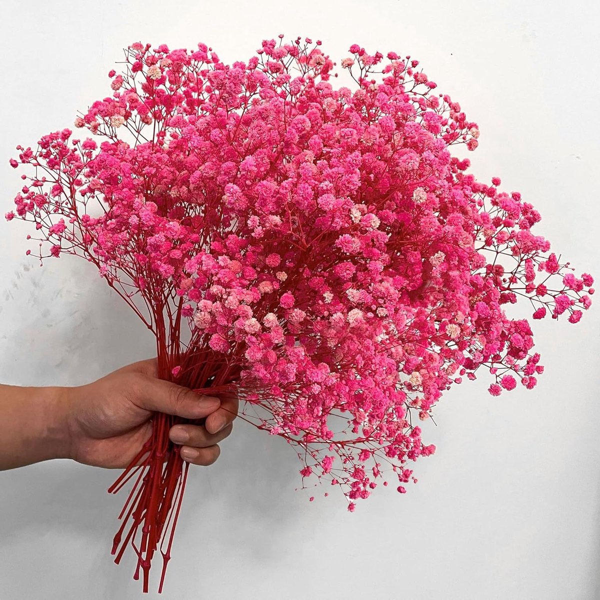 Droogbloemenboeket Baby Adem - Gedroogde Bloemen Gypsophila - Decoratie Huis en Feest - Meer dan 2500 Roze Bloemen