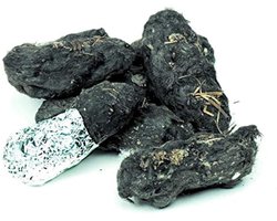 Uil Pellets - Kerkuil korrels - Natuurkunde lesmateriaal - Grote Uil Design - 1.5 inch+ - Bruin