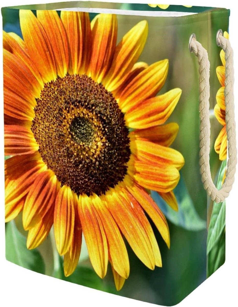 Waterdichte Wasserij Mand Vuile Kleding Mand Kleding Opbergen Stijlvol Zonnebloem Design 49x30x40.5 cm Meerkleurig