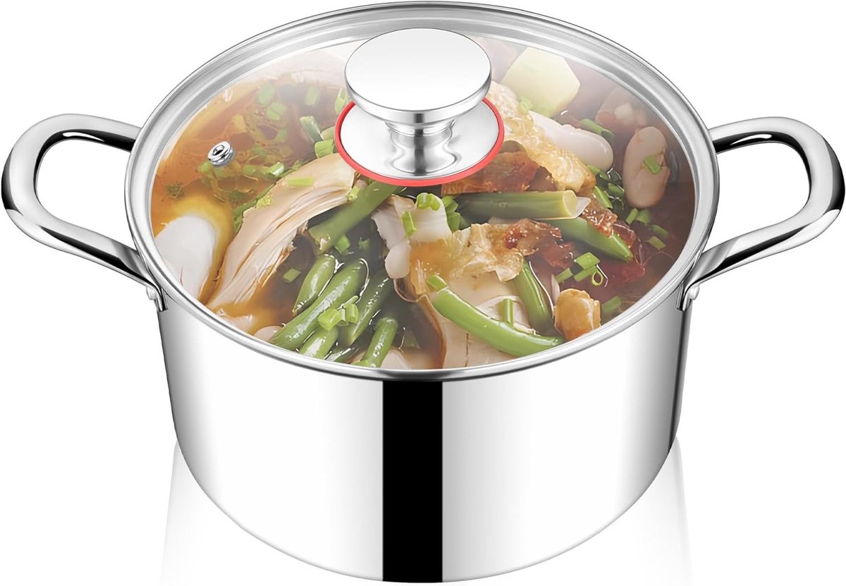Kookpan RVS 20 cm Inductie met Glazen Deksel 3,3 Liter