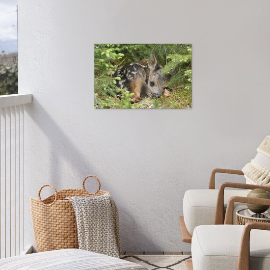 Décoration de jardin Cerf endormi - 60x40 cm - Affiche de jardin - Toile de jardin