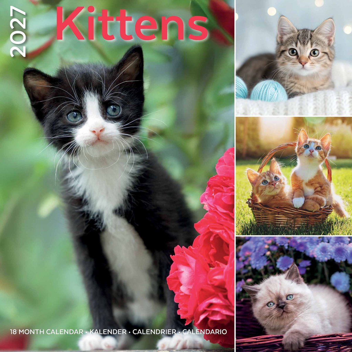 I Love Kittens Kalender 2027
