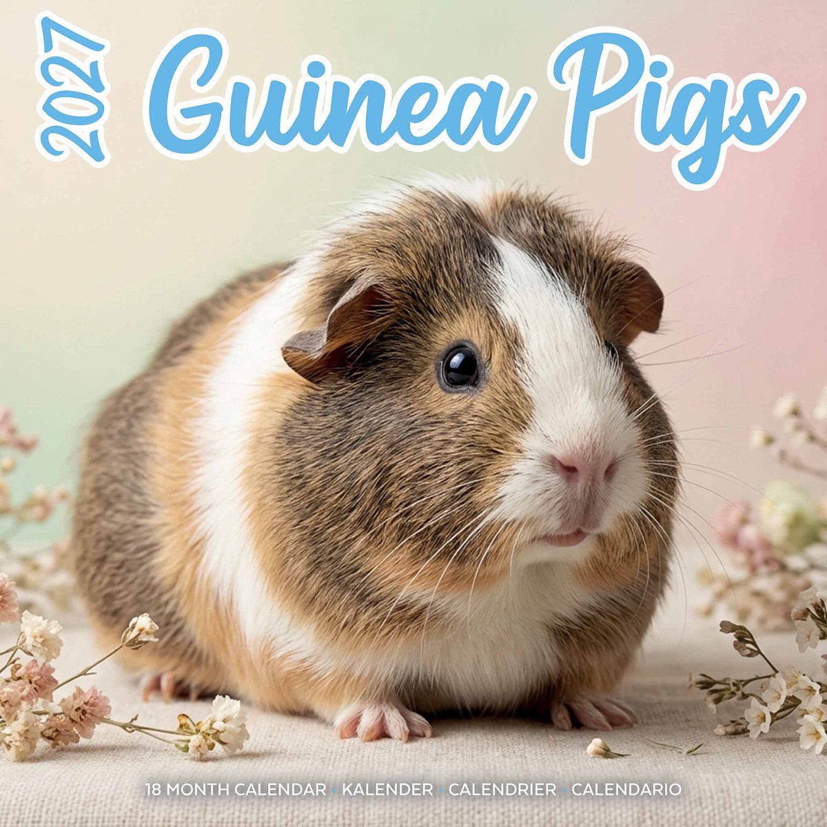 Cavia Studio Kalender 2027