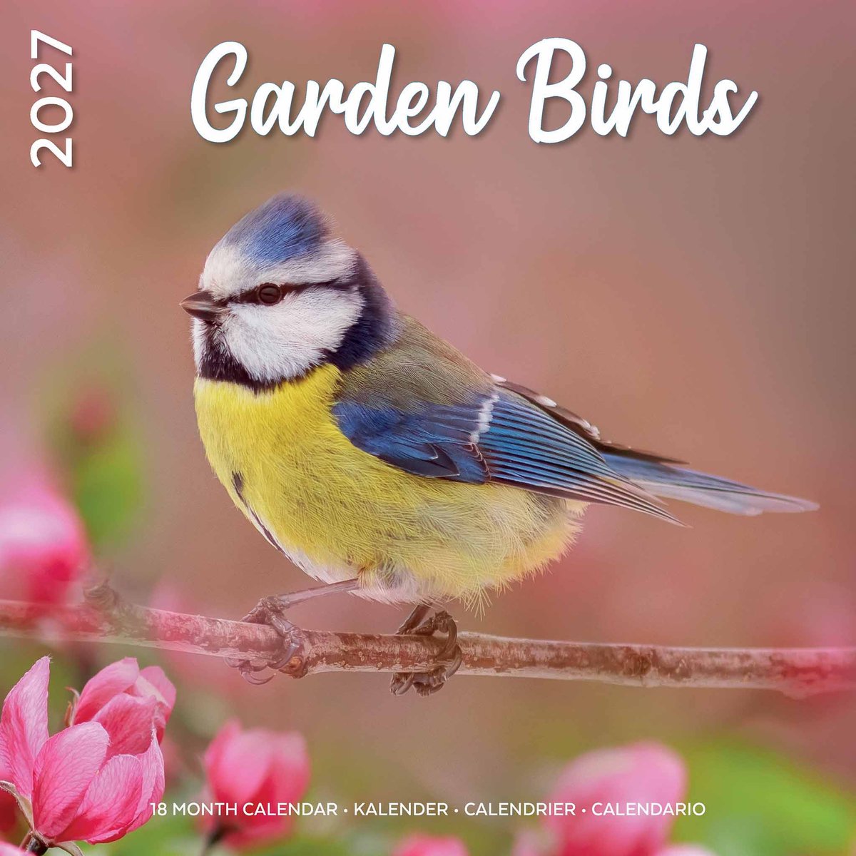 Garden Birds Kalender 2027