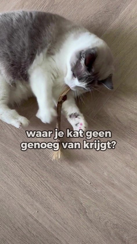 Bâtons Matatabi pour Chats - 4 pièces - Jouets pour chats 100% naturels et comestibles - speelgoed à l'herbe à chat