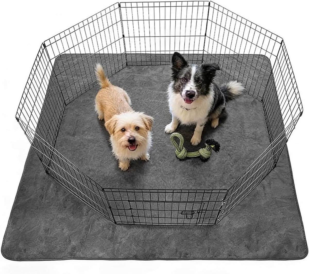 Wasbare puppy onderlegger - Snel absorberende en waterdichte hondendeken, herbruikbare PIPI-pads voor honden, katten en cavia's, 168 x 125 cm, ideaal voor zindelijkheidstraining en huisdierenverzorging