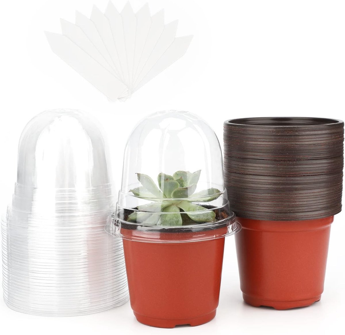 32 Stuks 10 cm Bruine Plastic Plantenpotten met Vochtigheidsdome voor Zaailingen, Stekken en Vetplanten met 10 Stuks Plantlabels