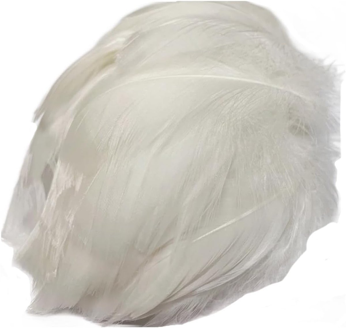 600 Witte Veertjes voor Creatieve Projecten - Perfect voor Bruiloften, Verjaardagen, DIY en Kledingaccessoires