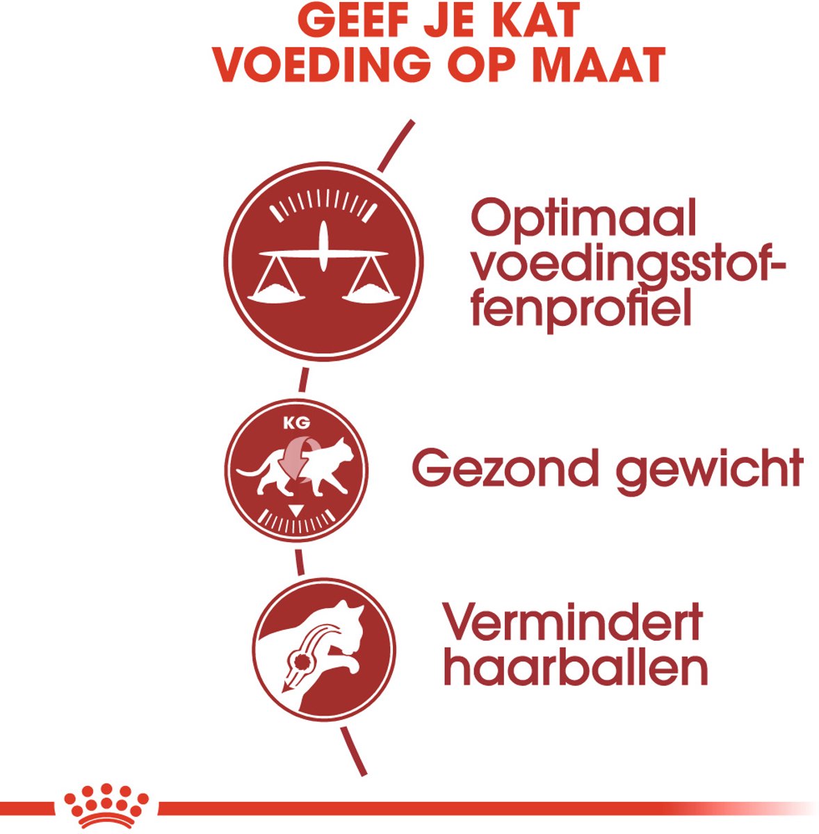 Royal Canin Fit - Kattenvoer Brokjes - 10 kg thumbnail 4