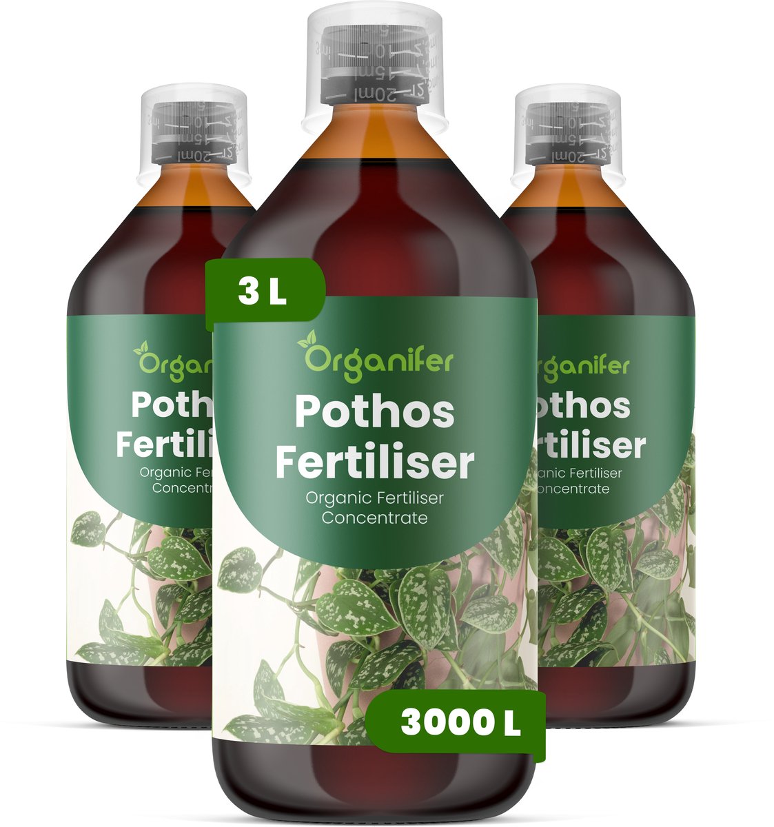 Vloeibare Meststof Voor Pothos 3X1 L Voor 3000 L - Npk 2-1-8 - Ondersteunt Gelijkmatige Rankgroei En Dicht Blad - Verbetert Wortelactiviteit - Verbetert De Tolerantie Voor Omgevingsstress Binnenshuis - Organifer