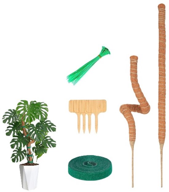 Foto: 5 delige mosstok voor planten plantensteun mosstok verlengbaar plantenstok perfect voor monstera pothos en meer en steunhulp voor planten louzir