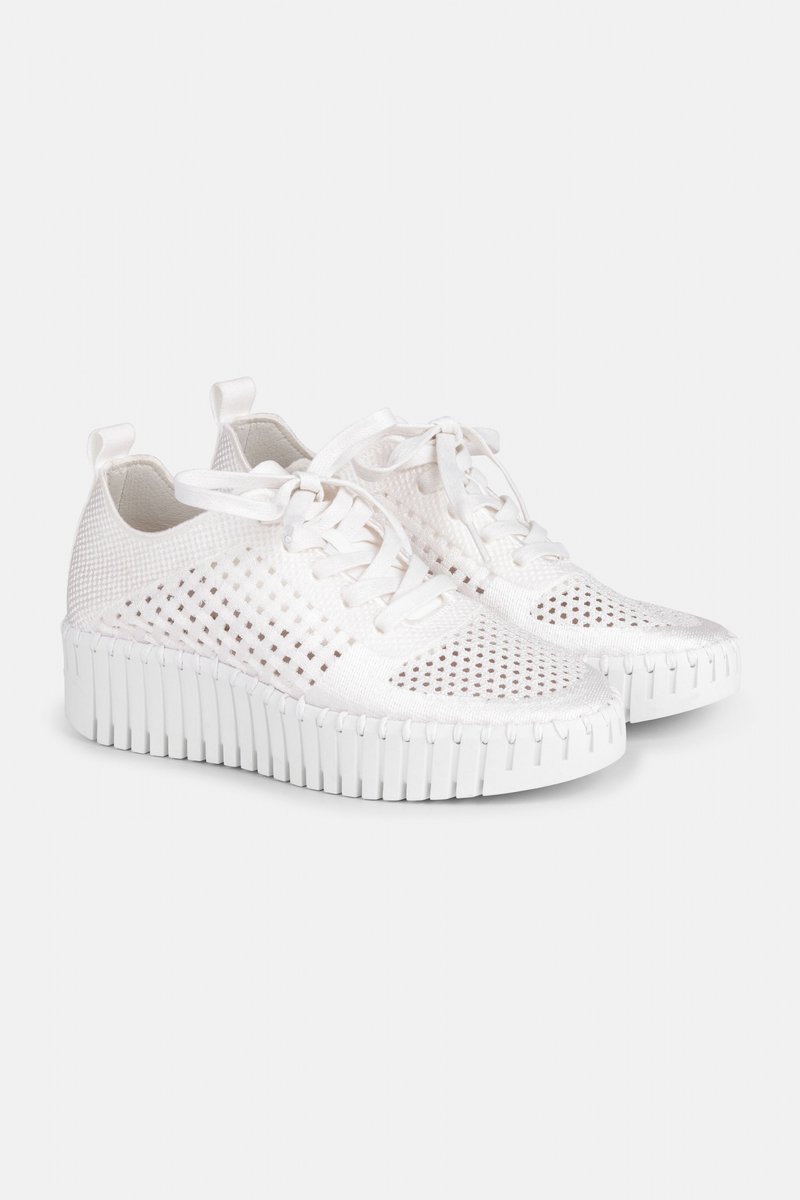 Sneakers TULIP4271