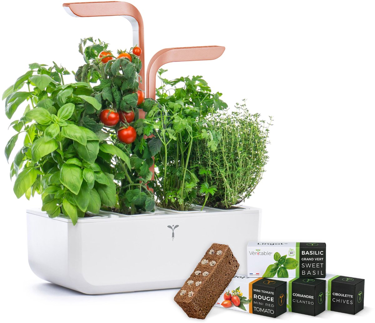 Veritable Véritable SMART zelfvoorzienende binnentuin, wit koper